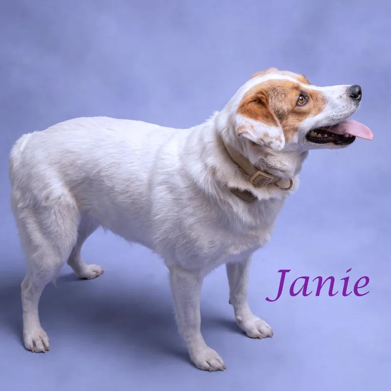 Janie D thumbnail 4