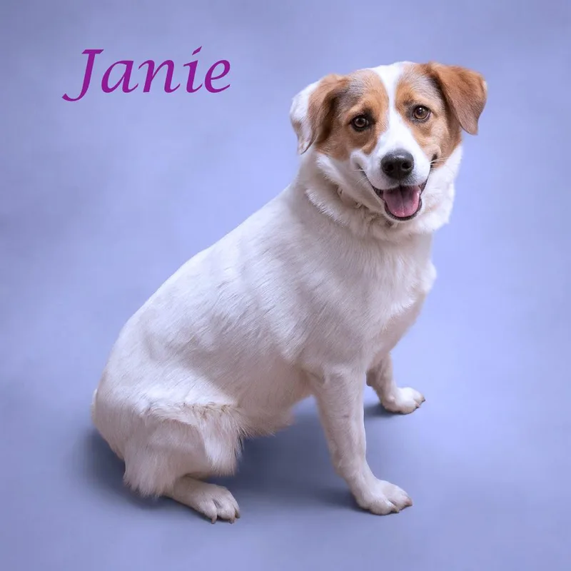 Janie D thumbnail 5