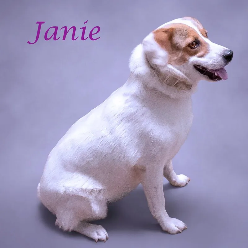 Janie D thumbnail 6