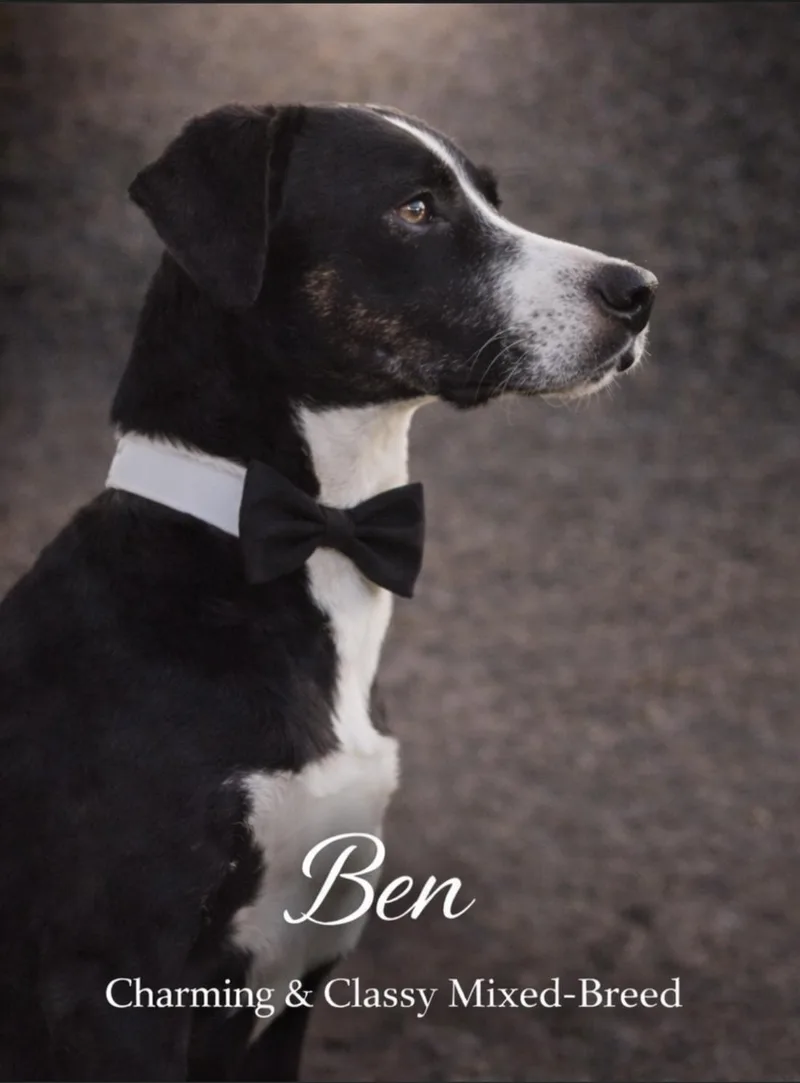 Ben thumbnail 3