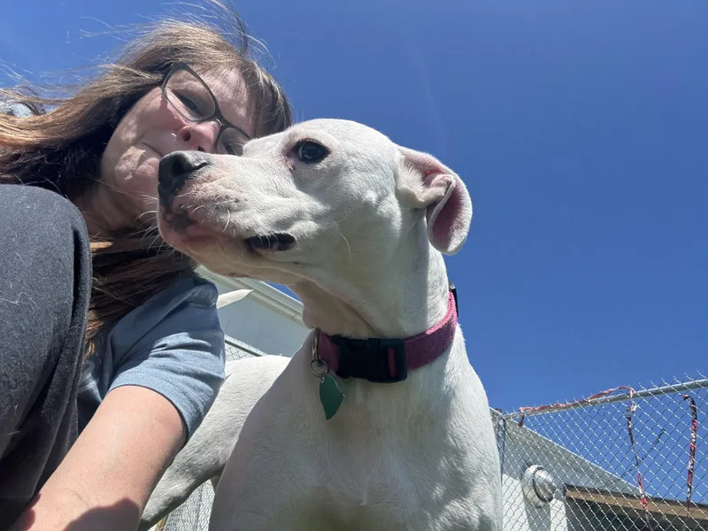 Blessing thumbnail 2