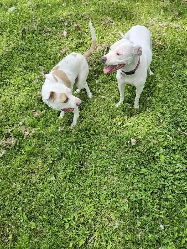 Blessing thumbnail 3