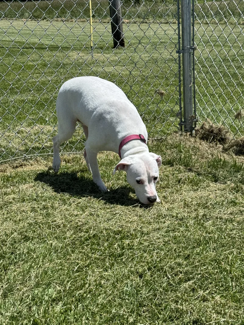 Blessing thumbnail 4