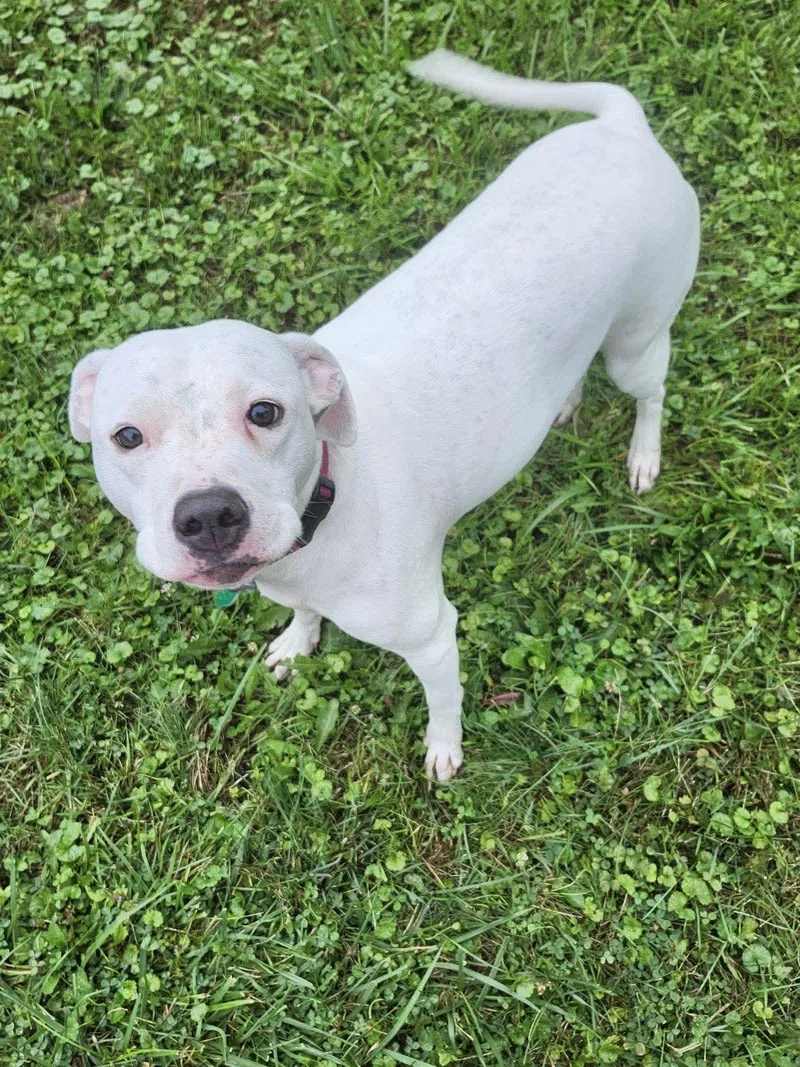 Blessing thumbnail 5