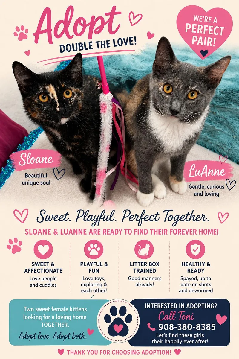 Sloan and Luanne thumbnail 2
