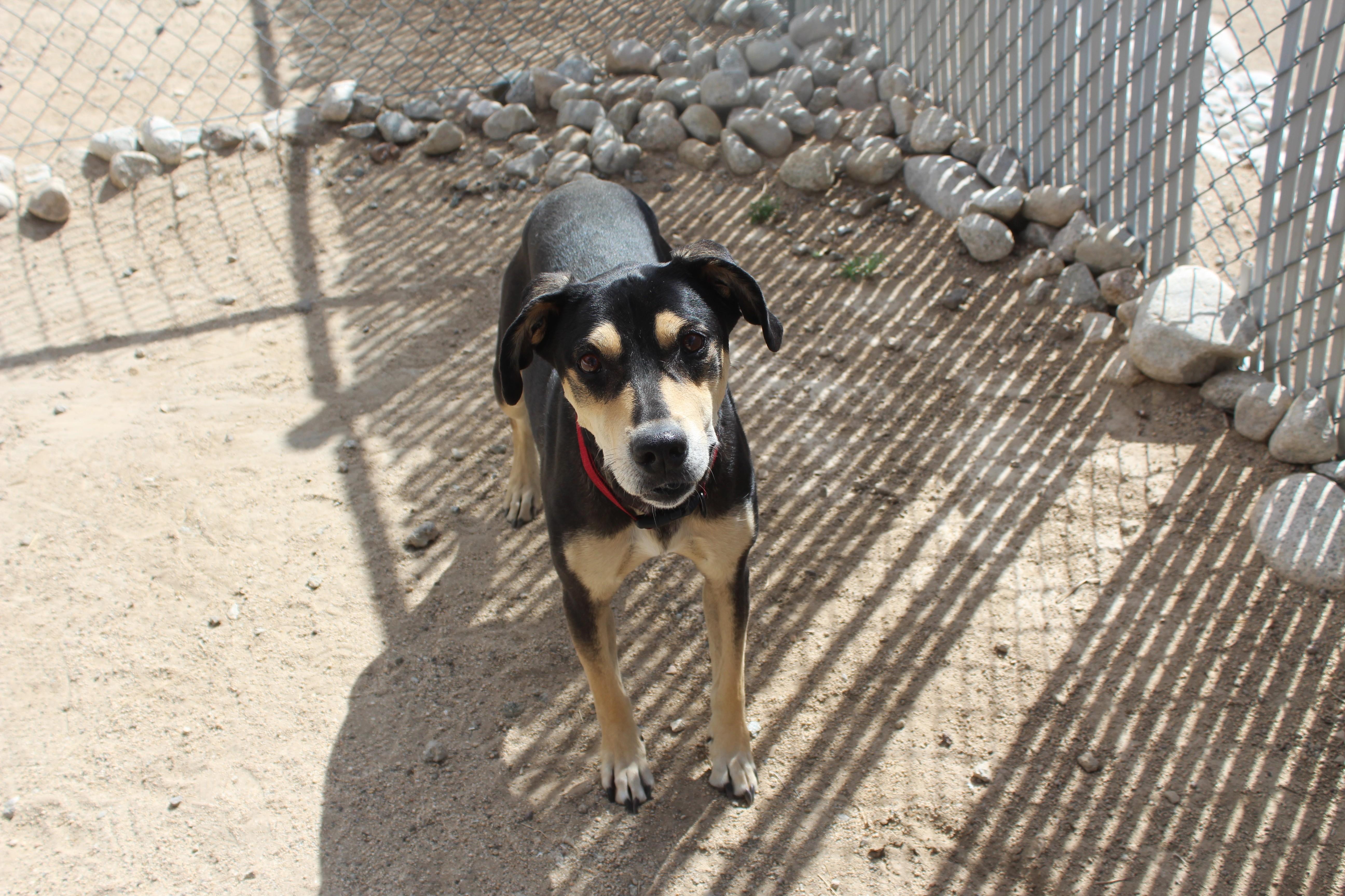 Grace thumbnail 3