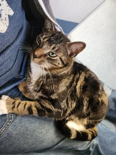 Max