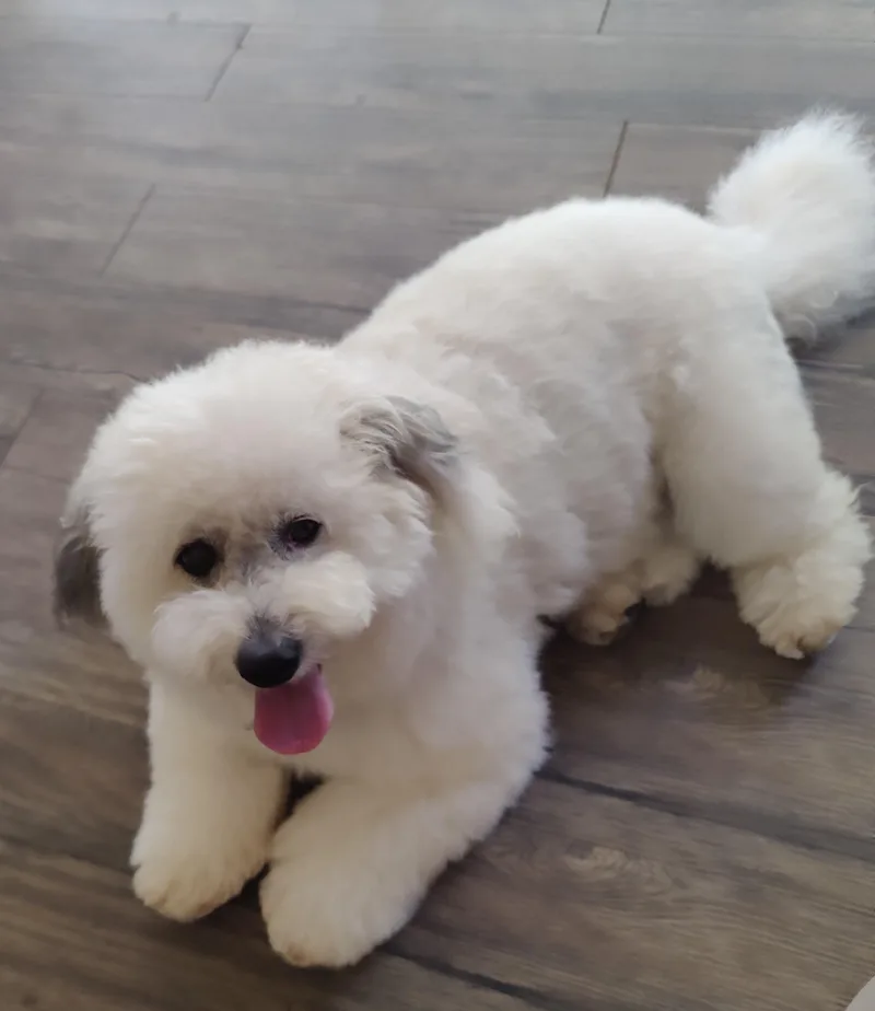 Jasmine And Thunder thumbnail 2