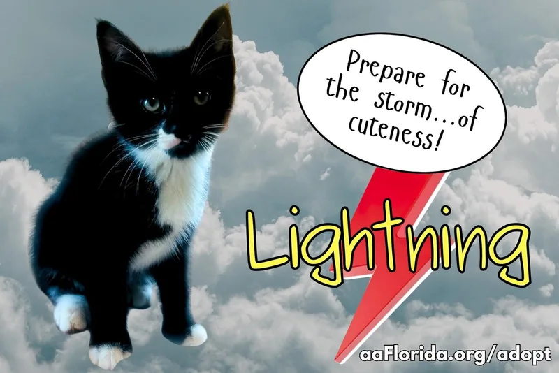 Lightning thumbnail 2