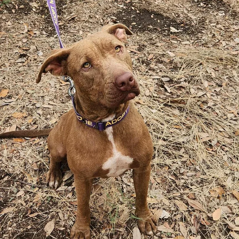 Nixie Jum thumbnail 4