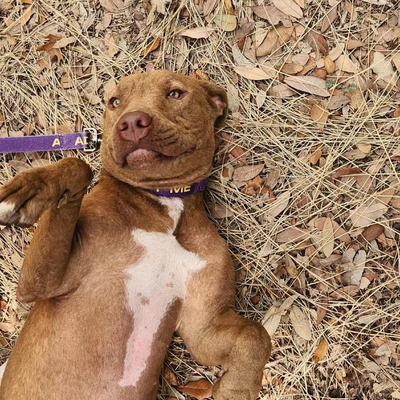 Nixie Jum thumbnail 5