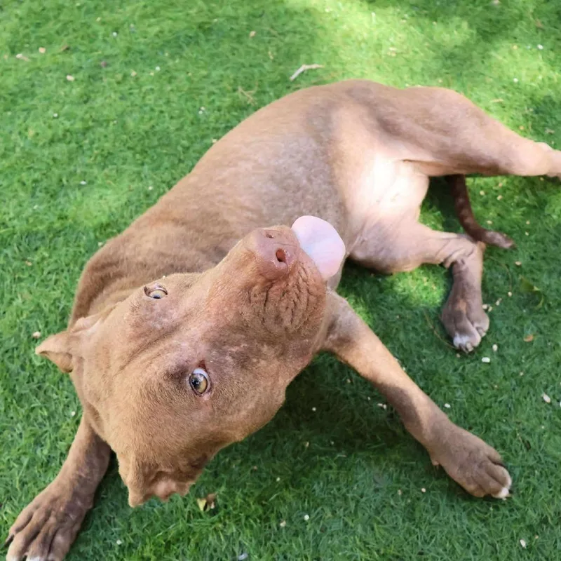 Nixie Jum thumbnail 6