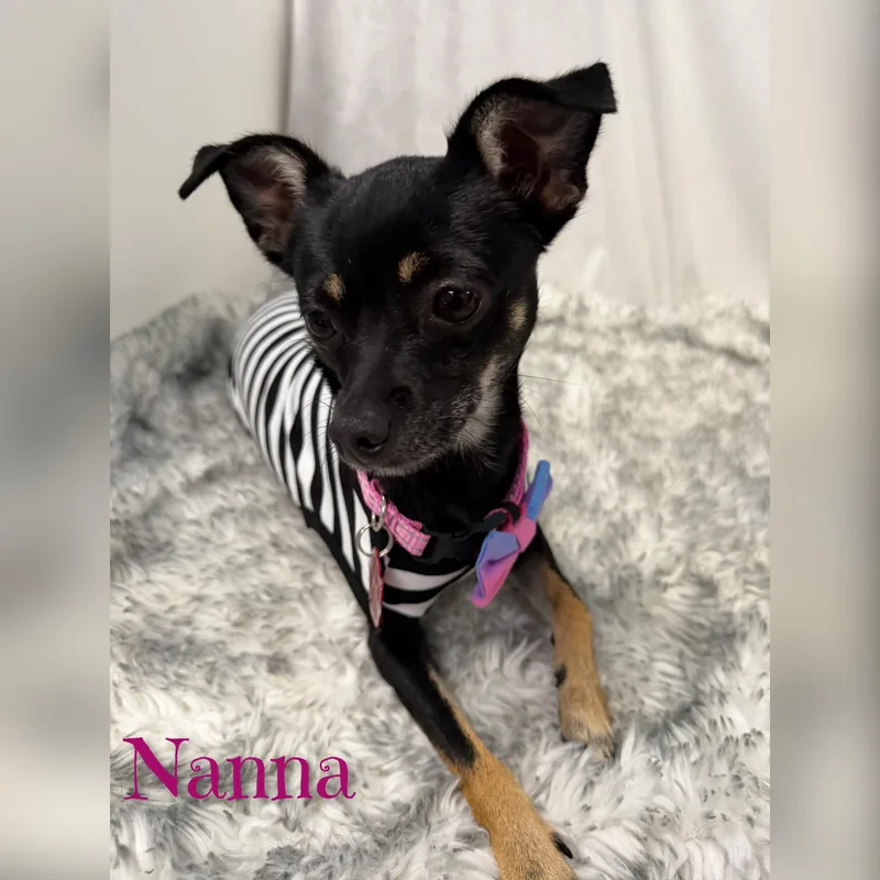 Nanna