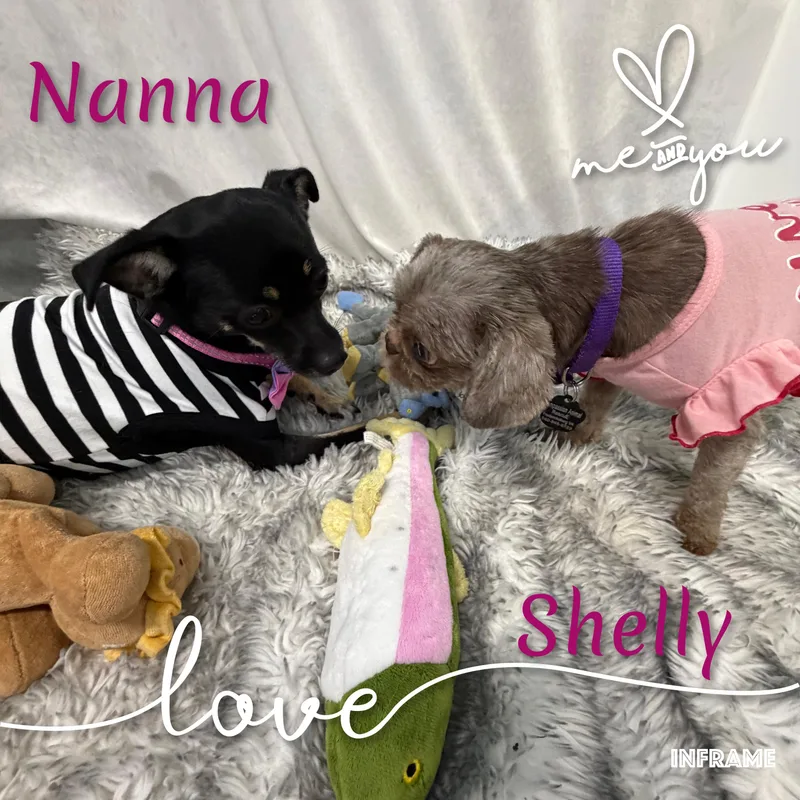 Nanna thumbnail 2