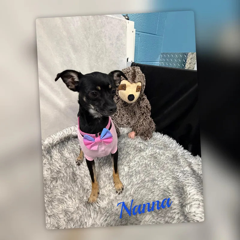 Nanna thumbnail 3
