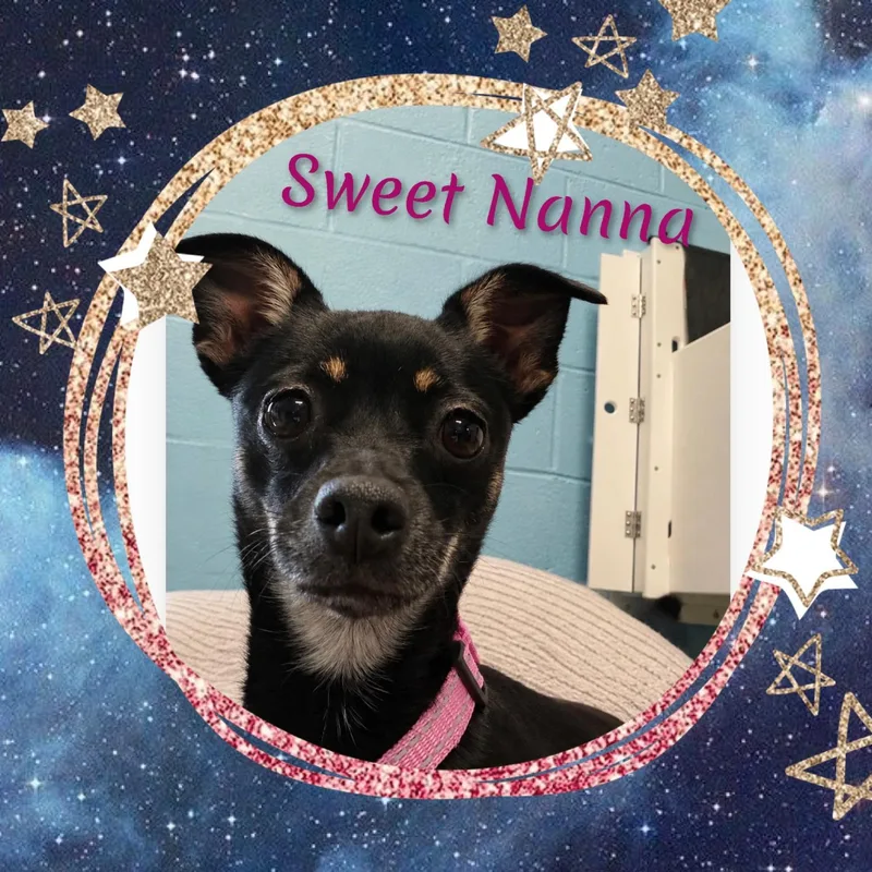 Nanna thumbnail 5