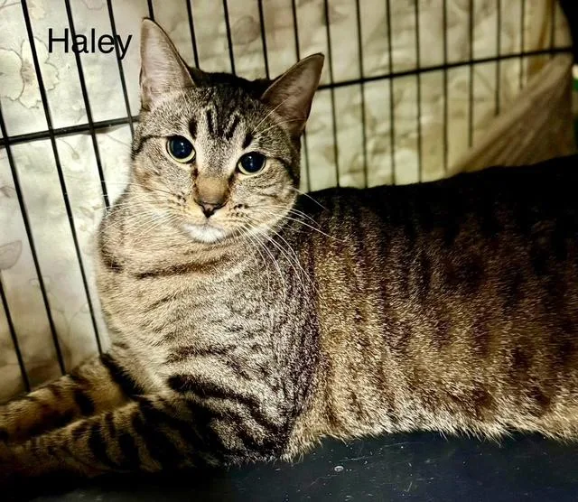 Haley Gentle Big Girl thumbnail 2