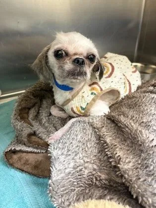 Cousin Willie thumbnail 2