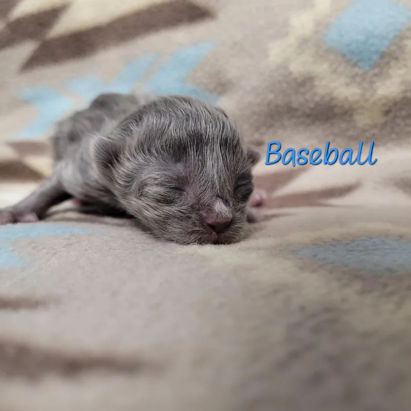 Baseball thumbnail 2
