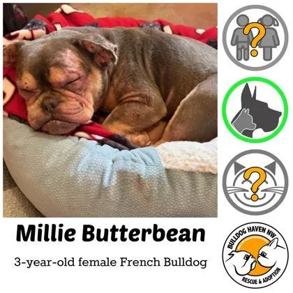 Millie Butterbean