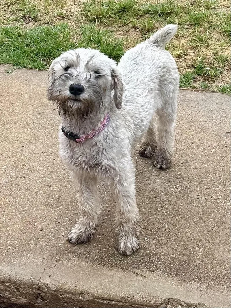 Mia