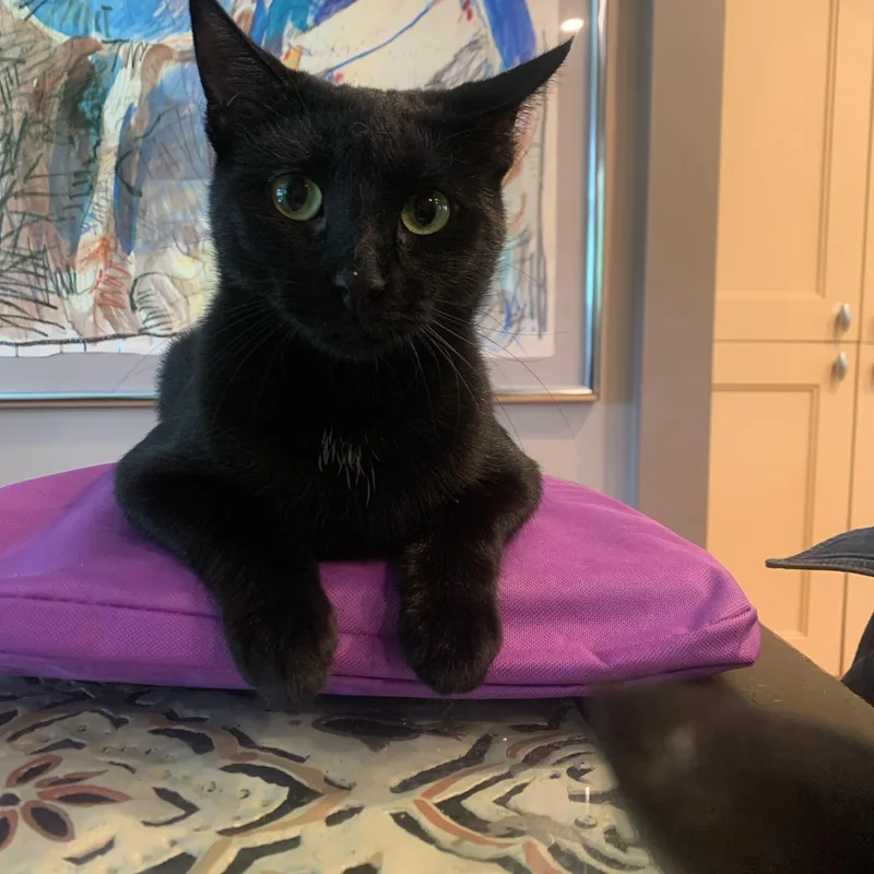 Mama Jinx thumbnail 2