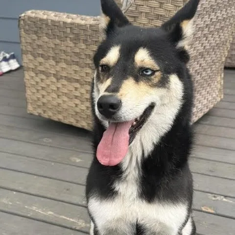 Lucky Bear thumbnail 5