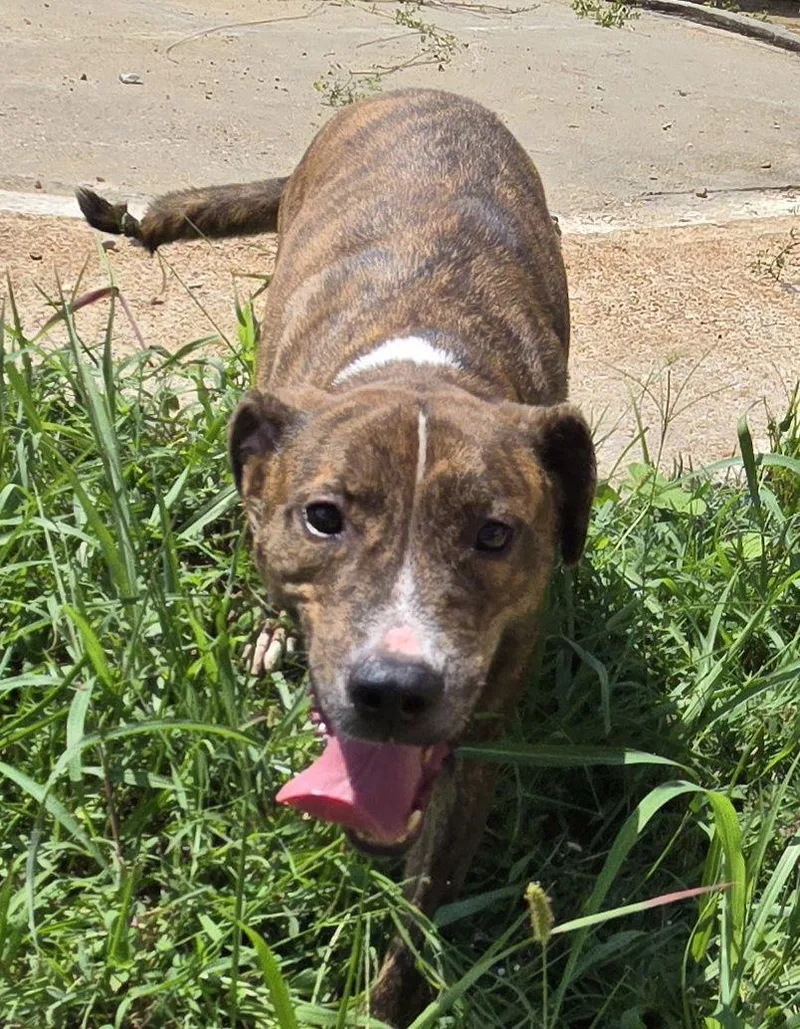 Kenny Mccormic thumbnail 2