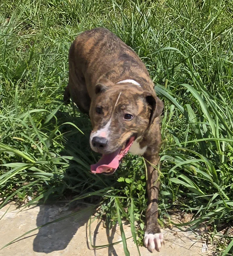 Kenny Mccormic thumbnail 3