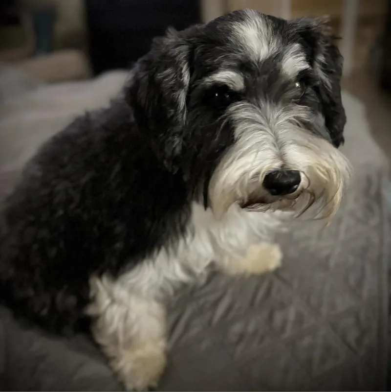 TJ Lucy