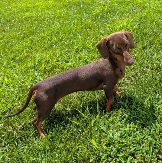 Ruby in TN