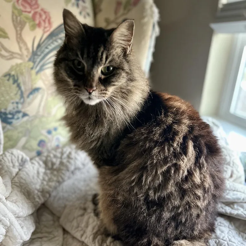 Frannie D thumbnail 3