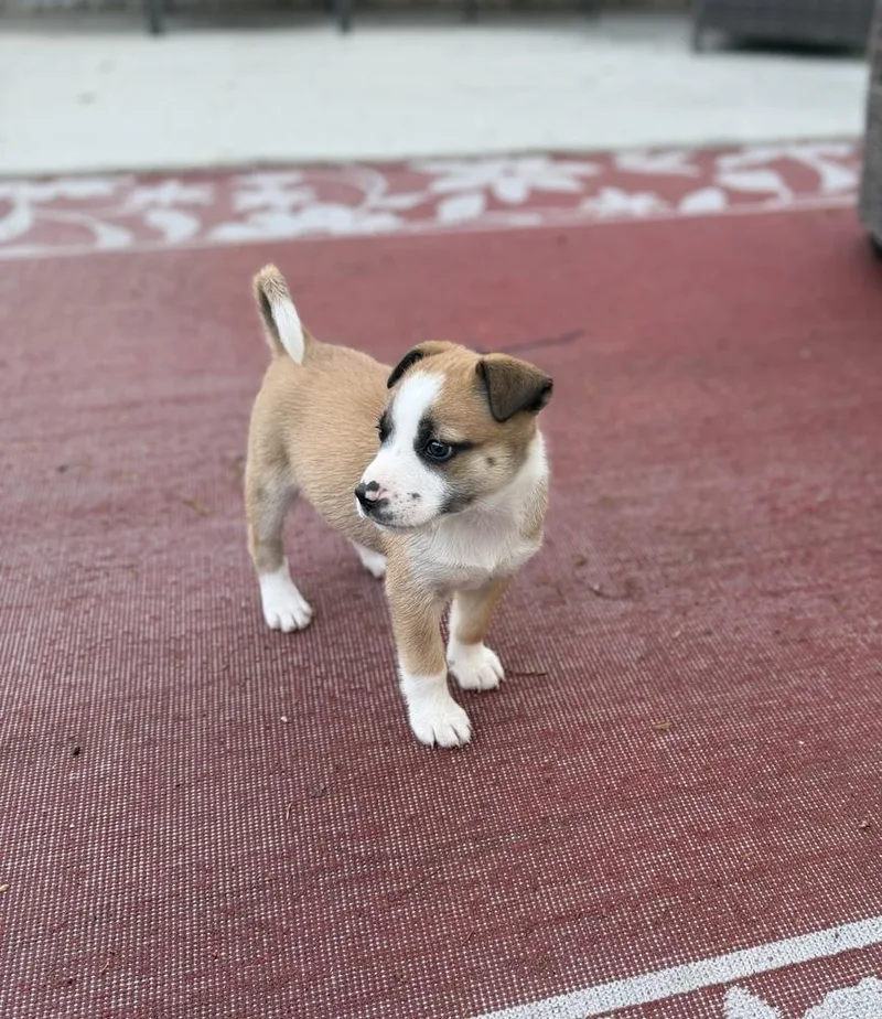 Sally thumbnail 2