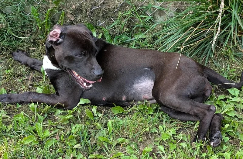 Kaya