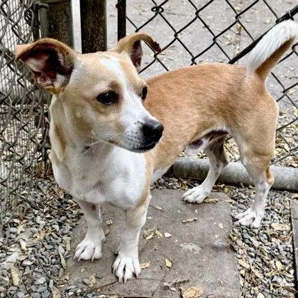Benton thumbnail 2
