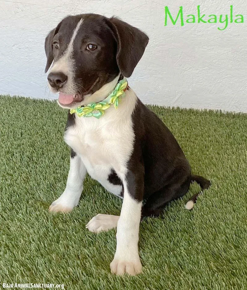Makayla thumbnail 2