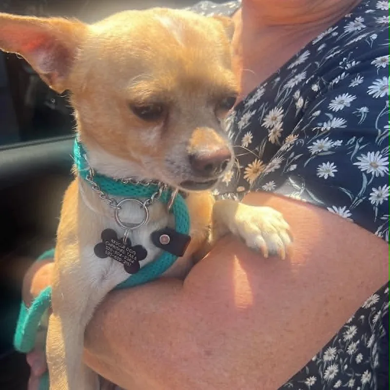 Yoda