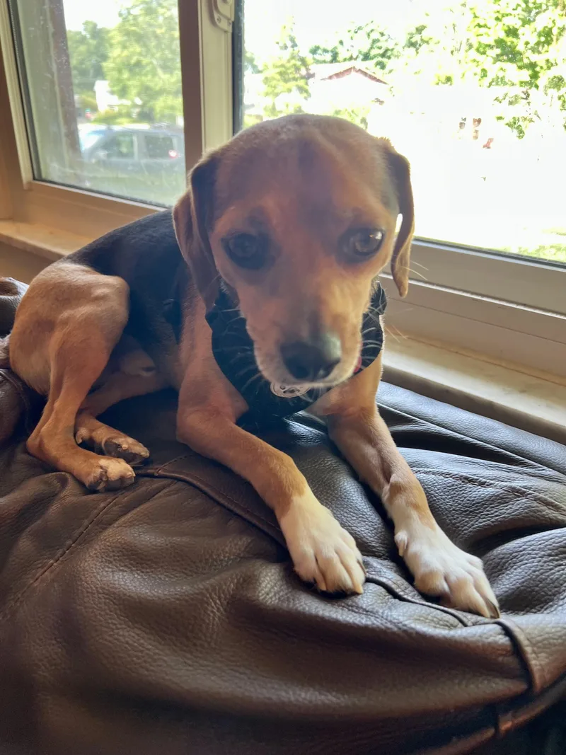 Buster Brown thumbnail 5