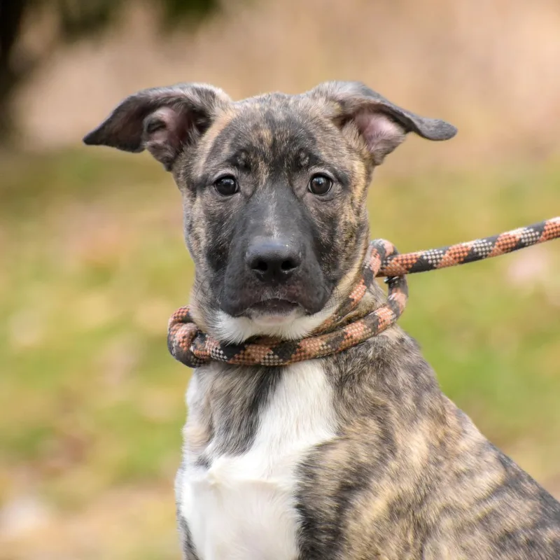 Sinclair thumbnail 2