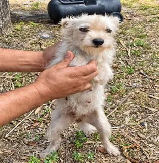 Chiquita