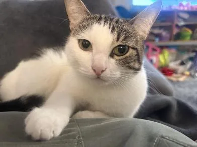 Oreo Marie thumbnail 2