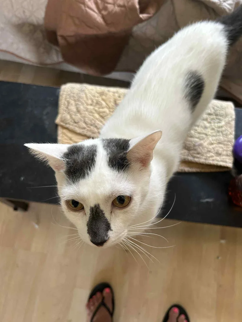 Burberry And Armani thumbnail 2