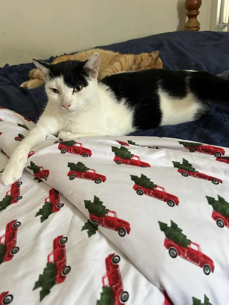 Burberry And Armani thumbnail 4