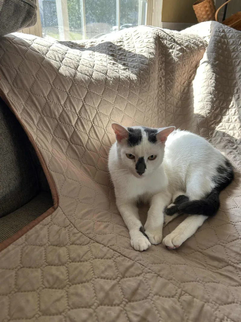 Burberry And Armani thumbnail 5