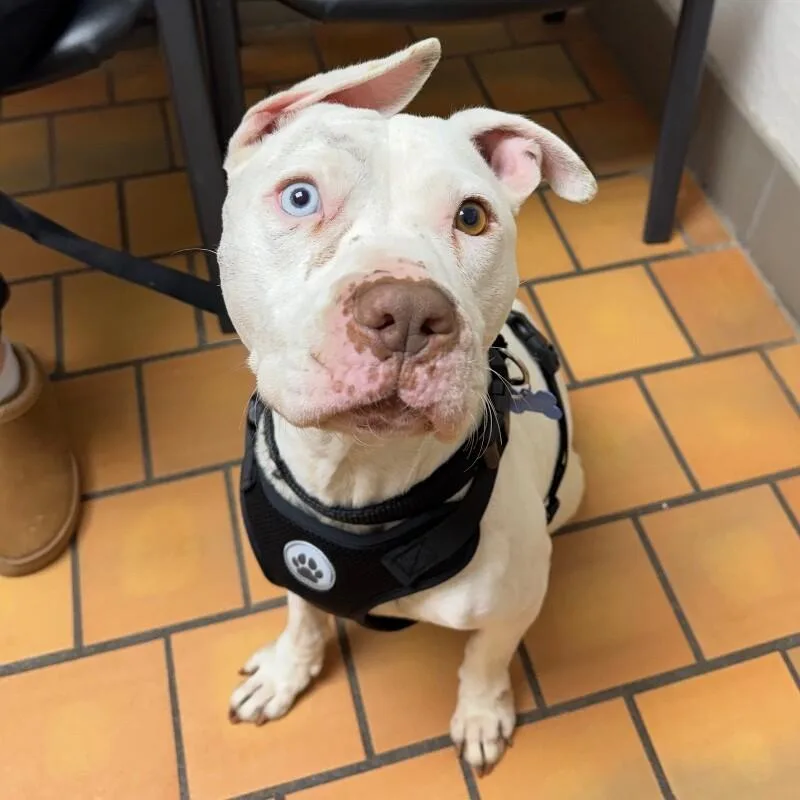 Frankie  Frost thumbnail 2