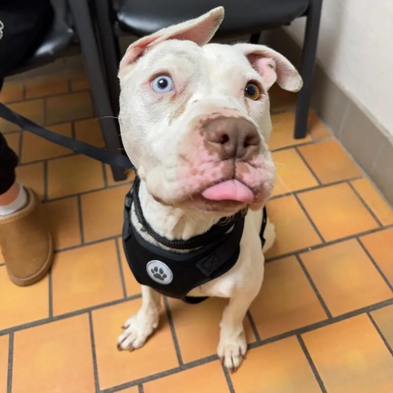 Frankie  Frost thumbnail 3