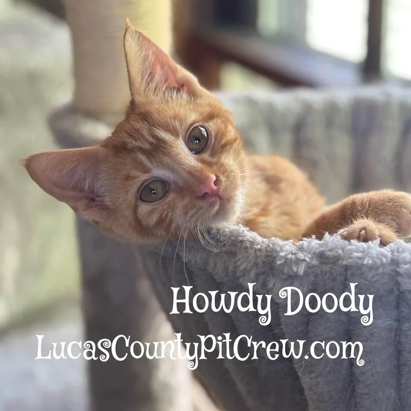 Howdy Doody thumbnail 2