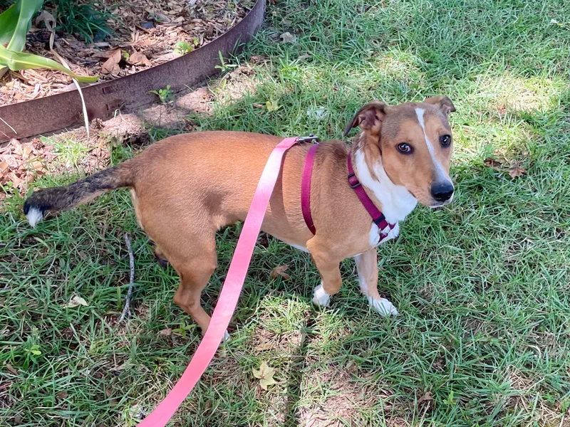 Happy In Texarkana Tx thumbnail 2