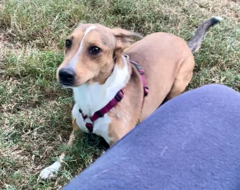 Happy In Texarkana Tx thumbnail 3