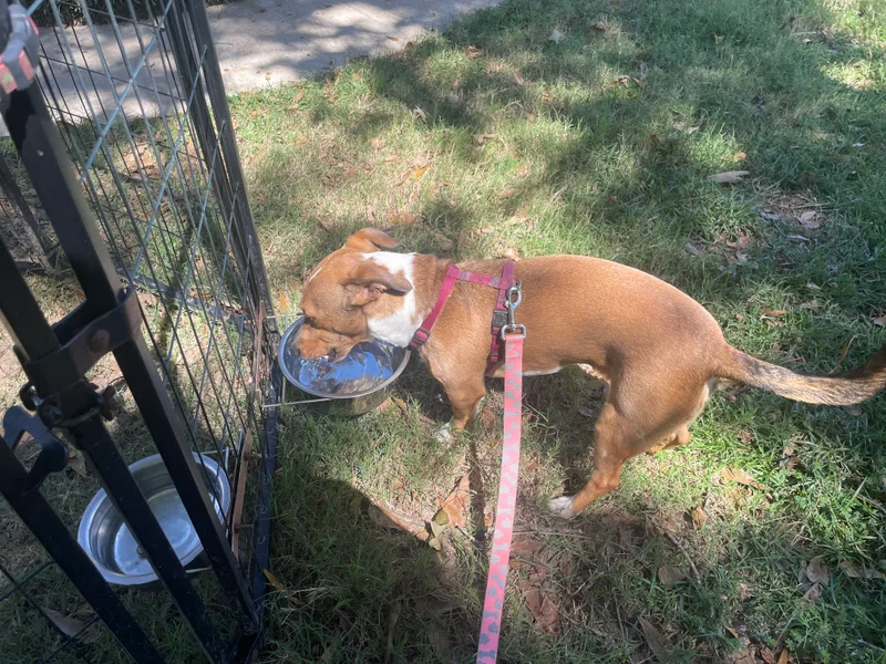 Happy In Texarkana Tx thumbnail 4